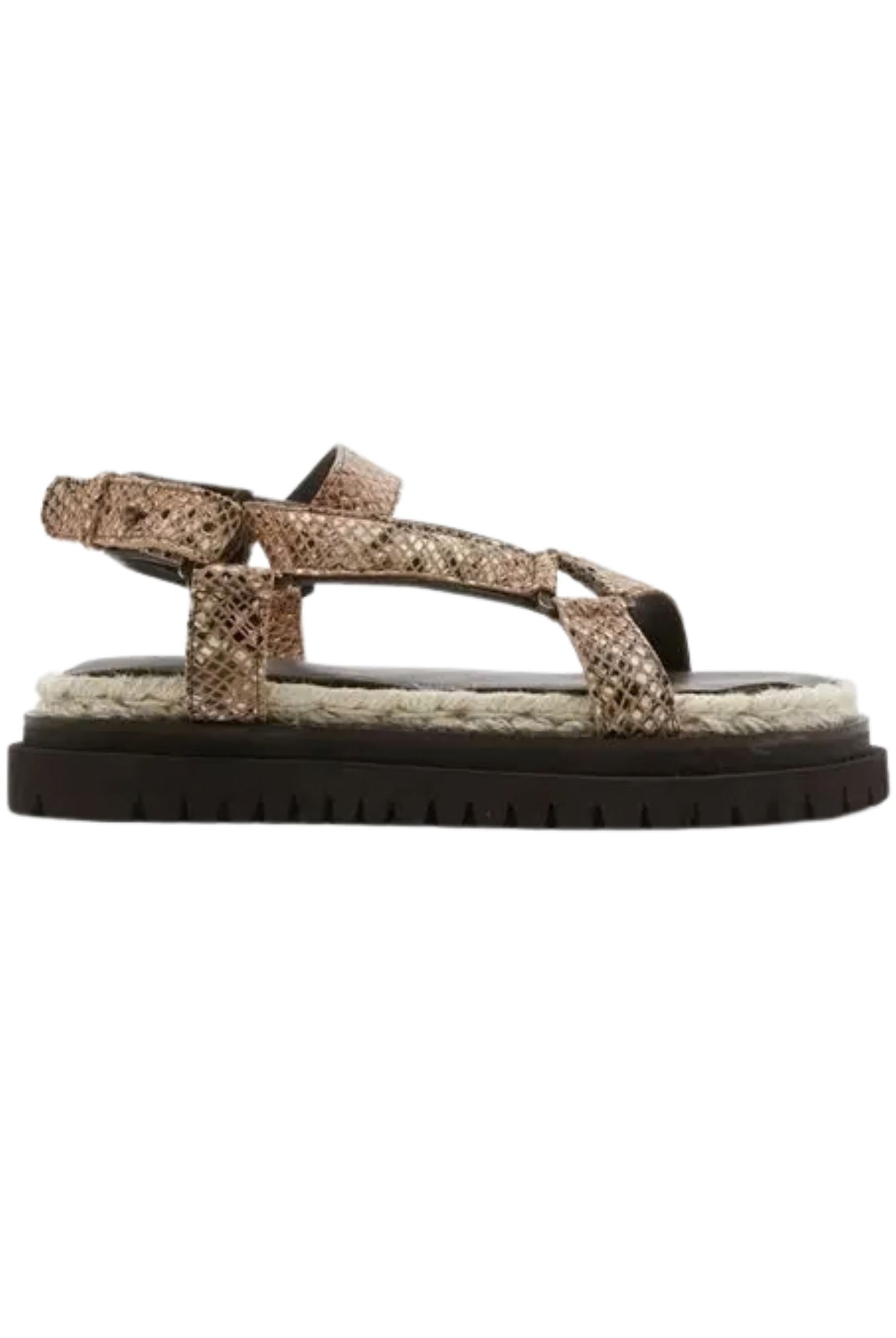 Sandal with glittery strap on a white background