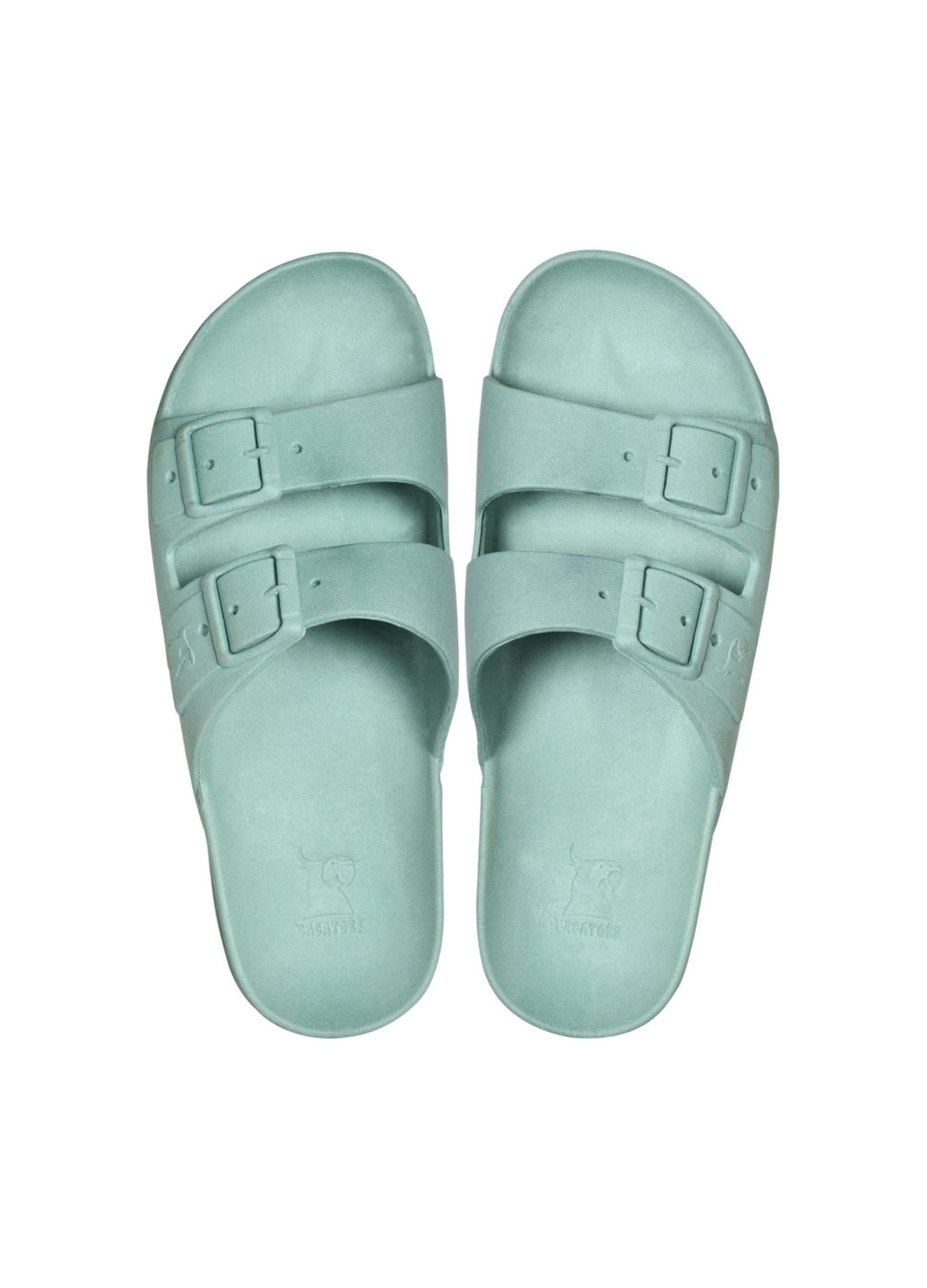 Vintage Green Waterproof Cactoes