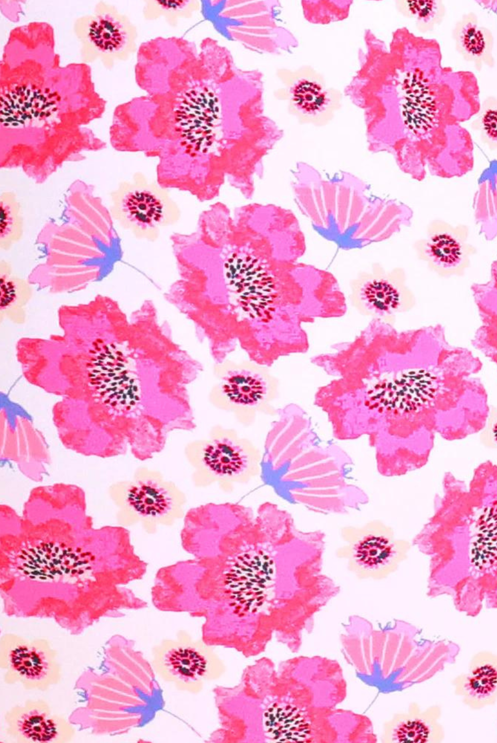 Poppy print gia bikini top from Infamous Swim