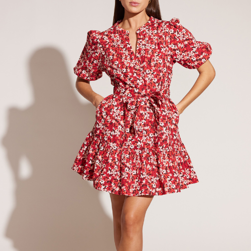 Red Ditzy Print Shirt Dress from Staple the Label