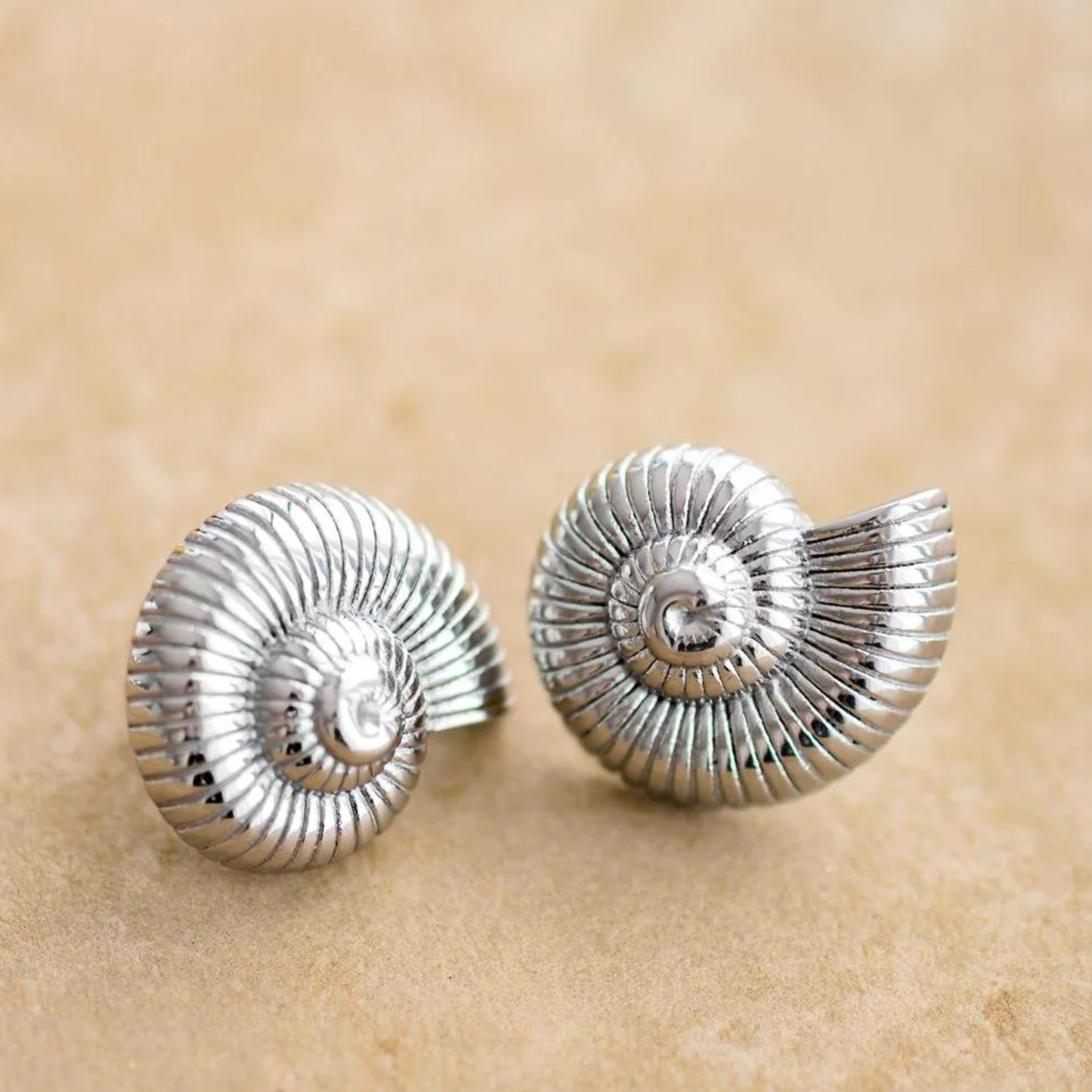 Indigo & Wolfe - Poseidon Sterling Shell Earrings - Silver