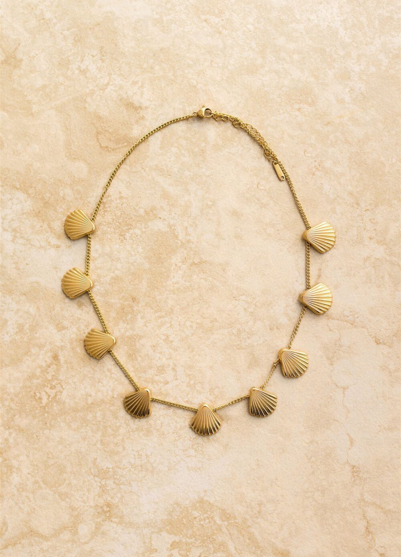 Gold shell detail necklace from Indigo and Wolfe