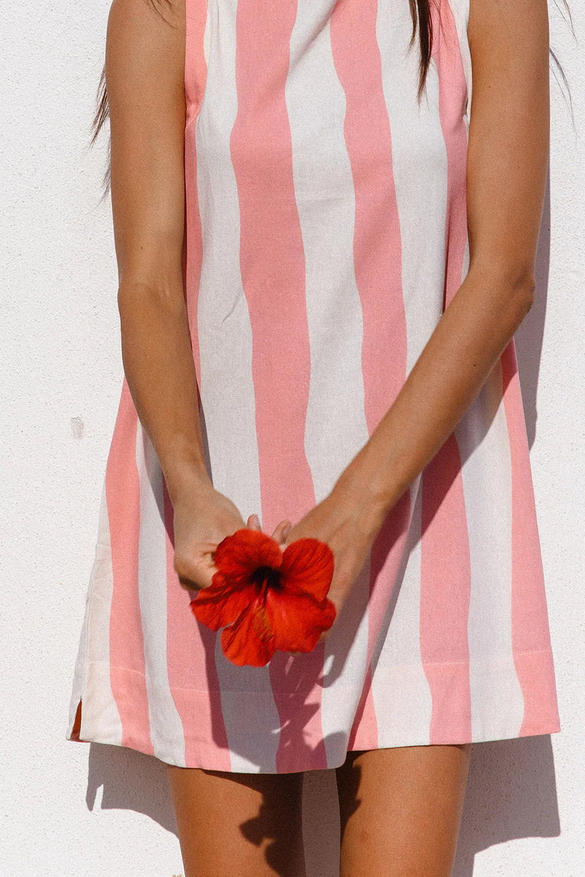 Person wearing a pink and white striped dress holding a red flower against a white background