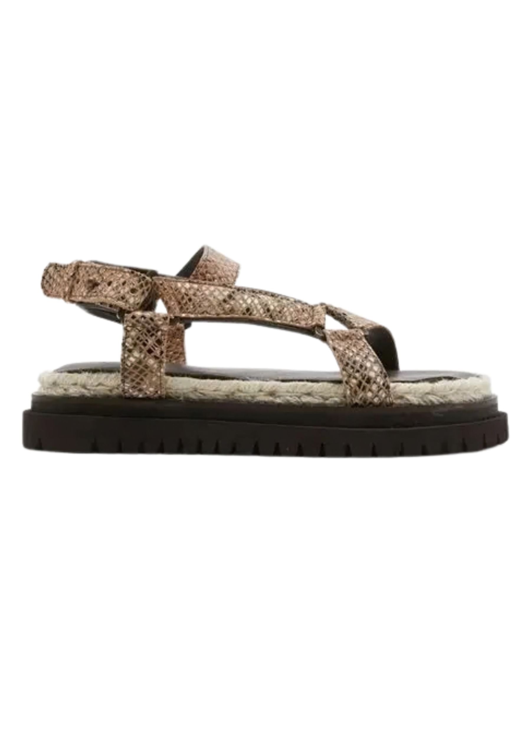 Sandal with glittery strap on a white background