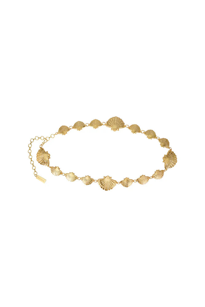 Gold bracelet with shell designs on a white background